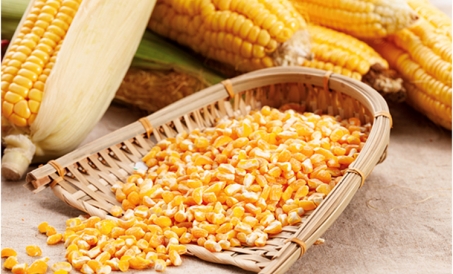 Làm thế nào để giảm thất thoát nguyên liệu của nhà máy thức ăn chăn nuôi