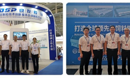 Dựa trên dịch vụ trong nước, toàn cầu - FDSP xuất hiện (VIV China 2018)