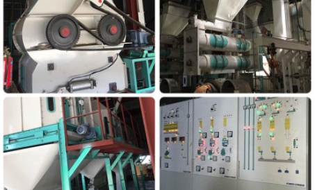 30tph Chăn nuôi &  Dự án sản xuất thức ăn gia cầm ở Myanmar đã hoàn thành và đi vào sản xuất