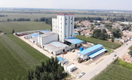 Hai dự án nữa ở Sơn Đông đã được nghiệm thu thành công. Dây chuyền sản xuất thức ăn gia súc, gia cầm