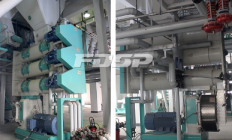 Quy tắc vận hành an toàn của máy tạo hạt thức ăn chăn nuôi