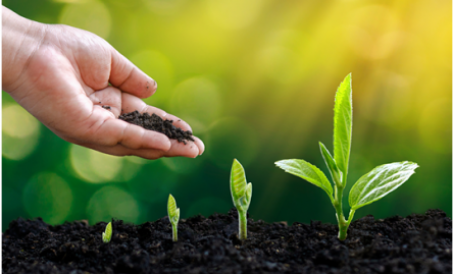 Đầu tư xây dựng nhà máy sản xuất phân hữu cơ và nắm rõ những điểm này để tránh sa chân vào hố