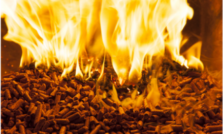 Máy tạo hạt sinh khối phổ biến trên thị trường và việc nâng cấp công nghệ của nó đã đóng góp rất nhi