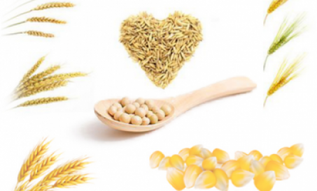 Các biện pháp bảo vệ chất lượng nguyên liệu thức ăn chăn nuôi