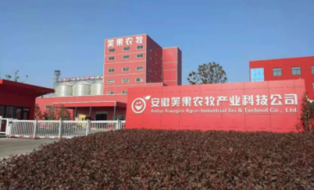 Dây chuyền sản xuất thức ăn gia súc, gia cầm SZLH420 dây chuyền kép An Huy đã hoàn thành và đưa vào 